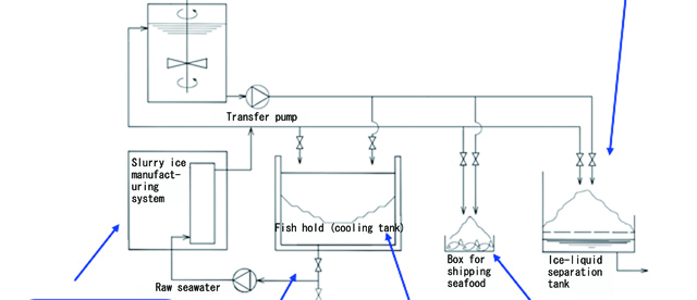 Usage of slurry ice in the fishing field