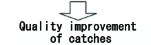 Quality improvement of catches