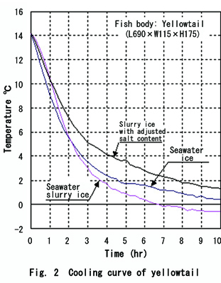 Fig. 2: Cooling curve of yellowtails