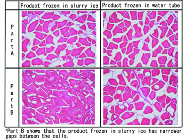 Mitigation of the meat quality damage by freezing 2