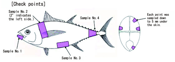 Examination by measurement of infiltration volume 1