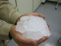 Plate ice