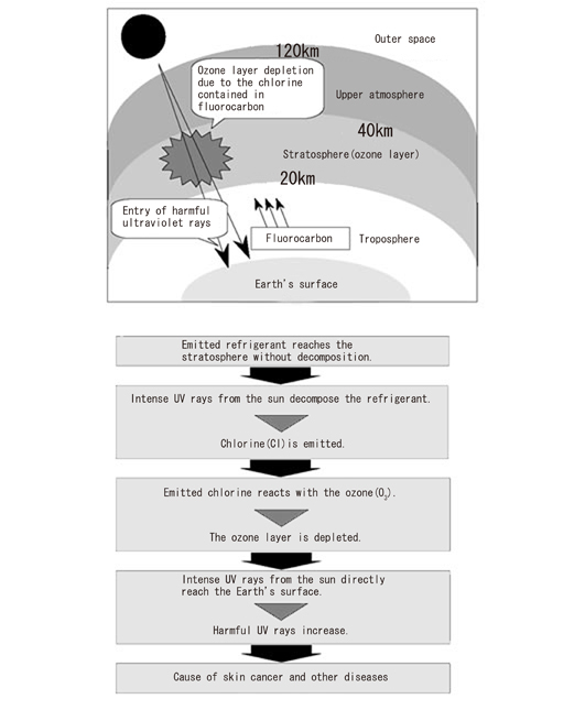 Ozone layer depletion by CFCs